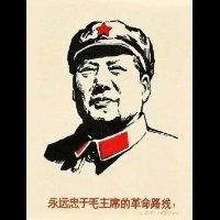 赵金凯