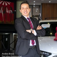 Andres Ricardo Bravo Michel