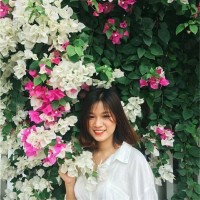 han lily