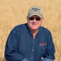Dale Hollingsworth