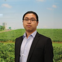 David Dang