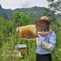 何显明