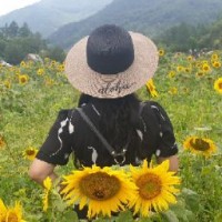radroses travel stories