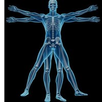 Imaging And Interventional Radiology
