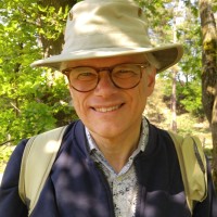 Wim Ijspeert