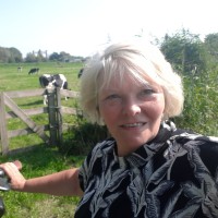 Sonja Van Dijken