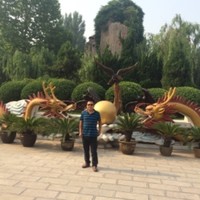 张金建