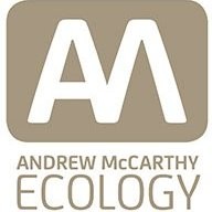 Andrew McCarthy