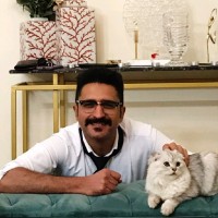 Arman Jafari