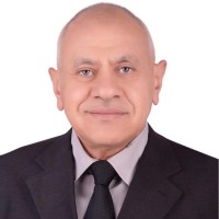 Hisham Elbasyouni