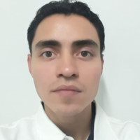Arturo Flores Liahut