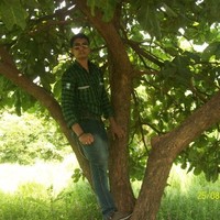 rizwan saiyed
