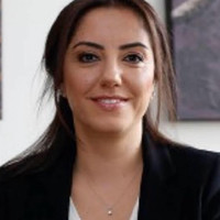 Ülkü Budak