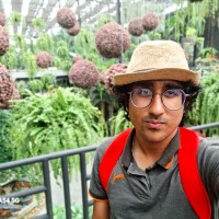 Adithya H