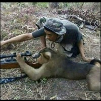 Sniper Monkey