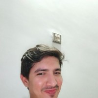Muhammad Shahzad Alam