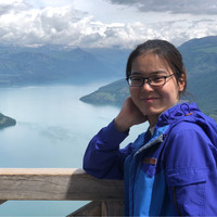 Wanyu Zhu