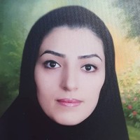 Shirin Rastkar Mahmoodzadeh