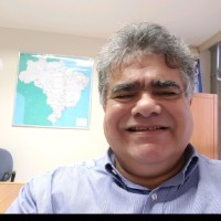 Luiz Henrique Hamann