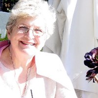 Sari Menna