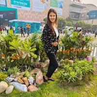 Namrata Dhawale