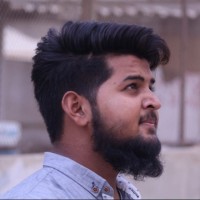 syed hamza ali
