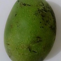 ernow vebye
