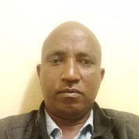 tesfaye asefa