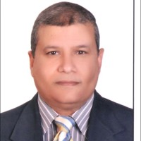Mohamed Hassan