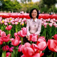 Ziwei Xu