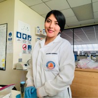 Stephanie Hernandez Carrasco
