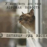 Аня Погорєлова