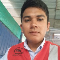 Edson Roberth Carrillo Salinas