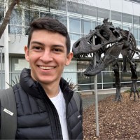 David Ulloa