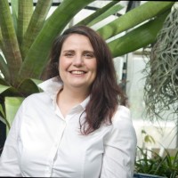 Andrea Vassallo, NCI
