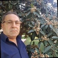 Fevzi Yeğin