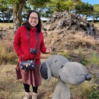 Lee Ying Chyi