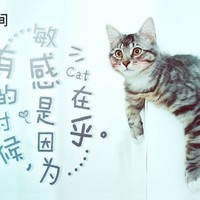 谢才盛