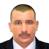 Tamer Amer
