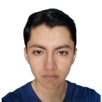 Gustavo David Gudiño Tejada