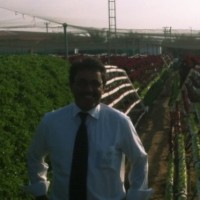 tarek dawood