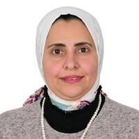 Lamyaa El-Enany