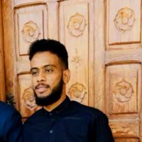 Abdelaziz Abbas Hussien