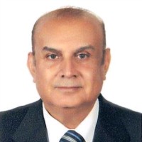 Mahmoud Abdelnabi