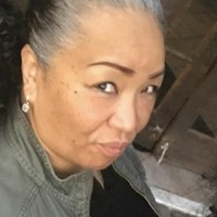 Dornice Cannon