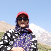 Zahra Taheri