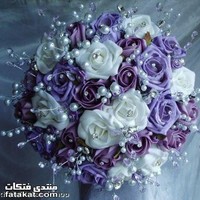 Abeer Anter