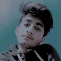 Muhammad Anees