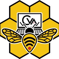 Cambridge Virtual Academy