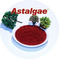 Bio algo